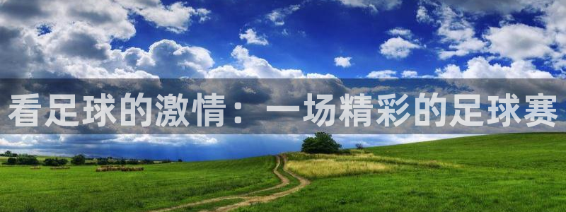 看足球的激情：一场精彩的足球赛