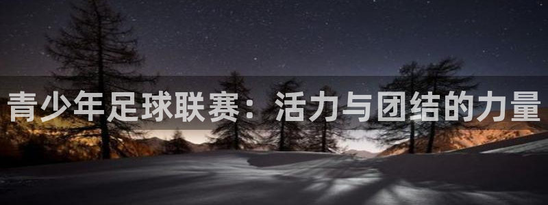 青少年足球联赛：活力与团结的力量