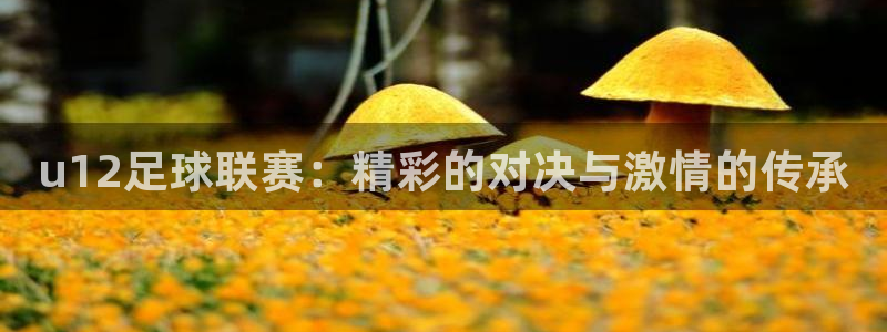 u12足球联赛：精彩的对决与激情的传承