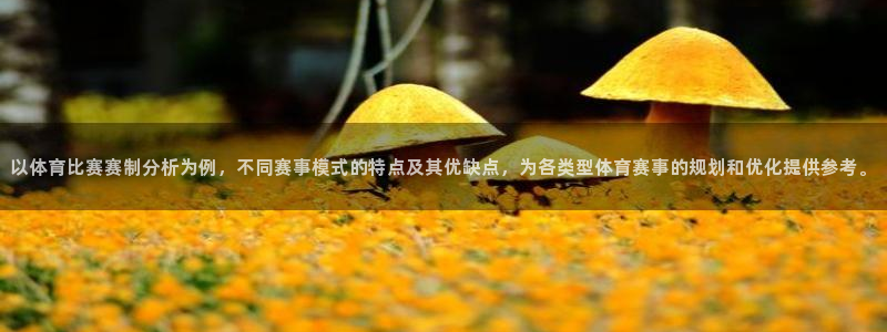 以体育比赛赛制分析为例，不同赛事模式的特点及其优缺点，为各类型体育赛事的规划和优