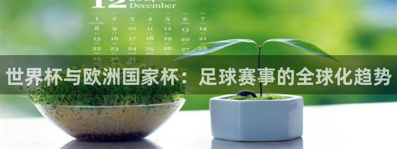世界杯与欧洲国家杯：足球赛事的全球化趋势