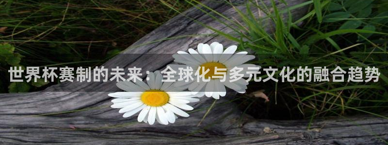 世界杯赛制的未来：全球化与多元文化的融合趋势