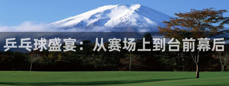 乒乓球盛宴：从赛场上到台前幕后
