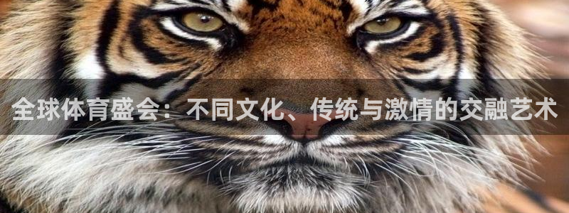 全球体育盛会：不同文化、传统与激情的交融艺术