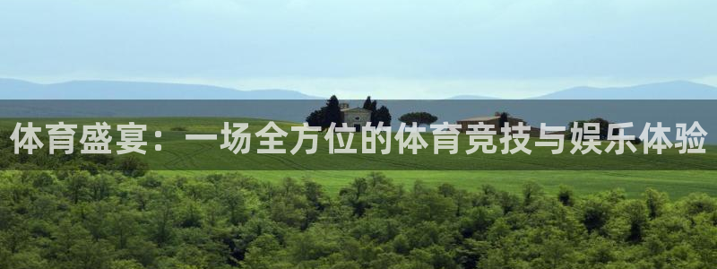 体育盛宴：一场全方位的体育竞技与娱乐体验
