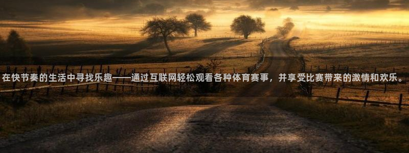 在快节奏的生活中寻找乐趣——通过互联网轻松观看各种体育赛事，并享受比赛带来的激情
