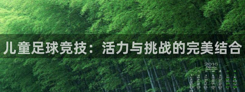 儿童足球竞技：活力与挑战的完美结合