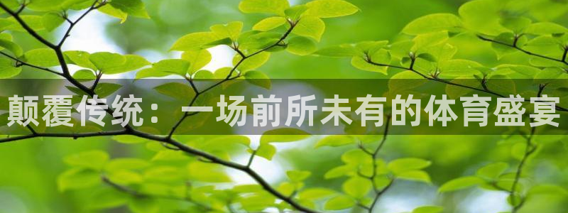 颠覆传统：一场前所未有的体育盛宴