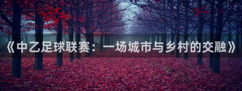 《中乙足球联赛：一场城市与乡村的交融》