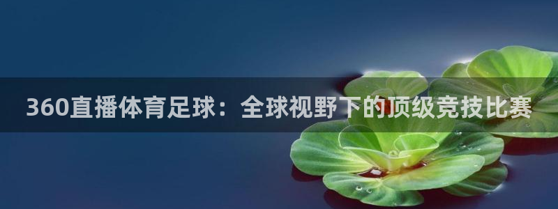 360直播体育足球：全球视野下的顶级竞技比赛
