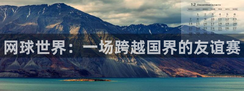 网球世界：一场跨越国界的友谊赛