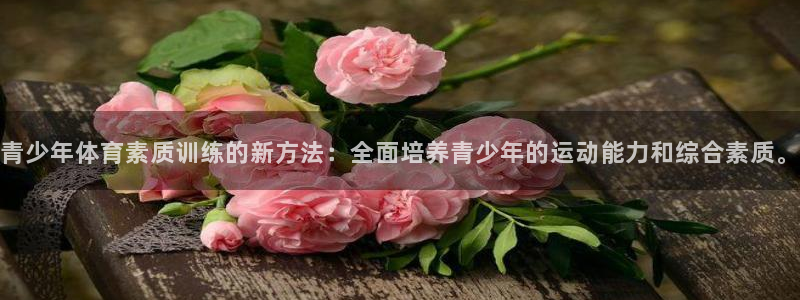 青少年体育素质训练的新方法：全面培养青少年的运动能力和综合素质。