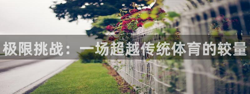 极限挑战：一场超越传统体育的较量