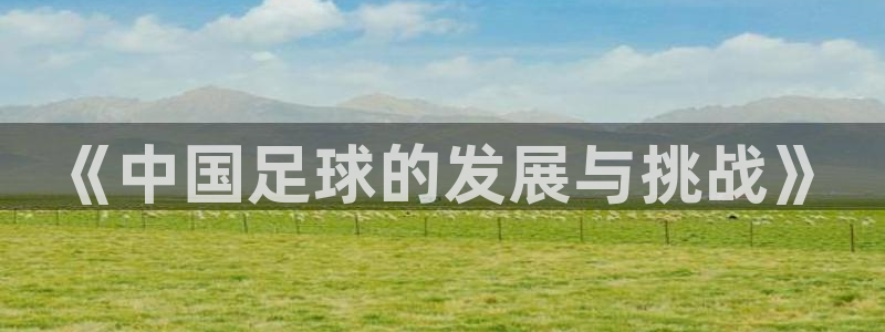 《中国足球的发展与挑战》