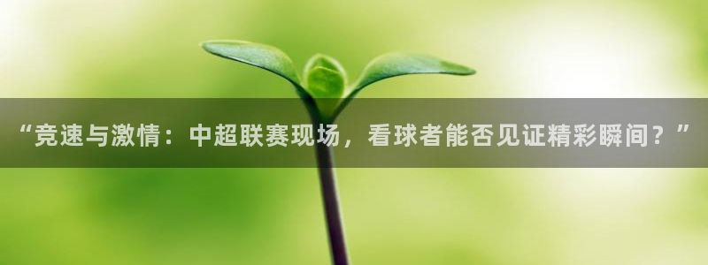“竞速与激情：中超联赛现场，看球者能否见证精彩瞬间？”