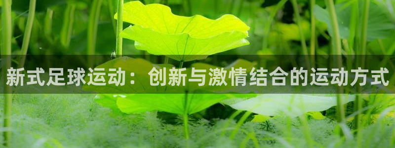 新式足球运动：创新与激情结合的运动方式