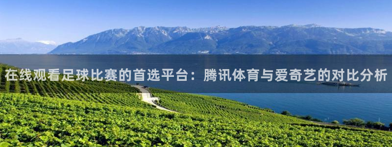 在线观看足球比赛的首选平台：腾讯体育与爱奇艺的对比分析