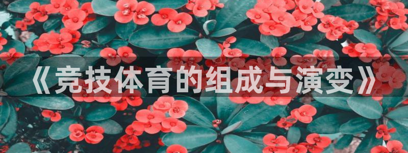 《竞技体育的组成与演变》