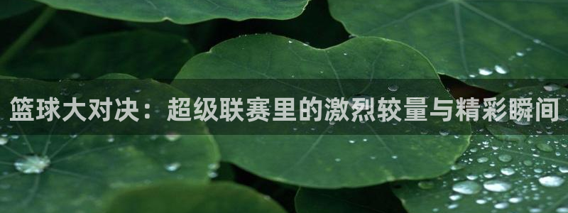 篮球大对决：超级联赛里的激烈较量与精彩瞬间