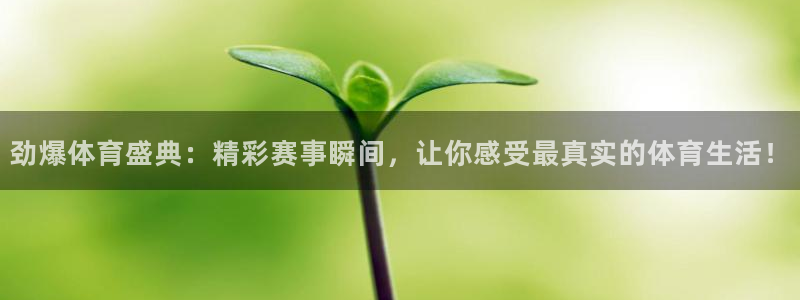 劲爆体育盛典：精彩赛事瞬间，让你感受最真实的体育生活！