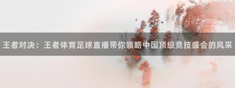 王者对决：王者体育足球直播带你领略中国顶级竞技盛会的风采