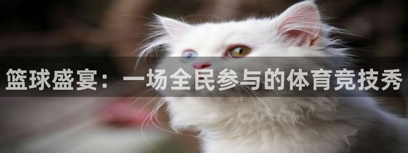 篮球盛宴：一场全民参与的体育竞技秀