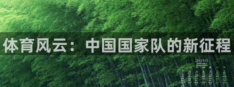 体育风云：中国国家队的新征程