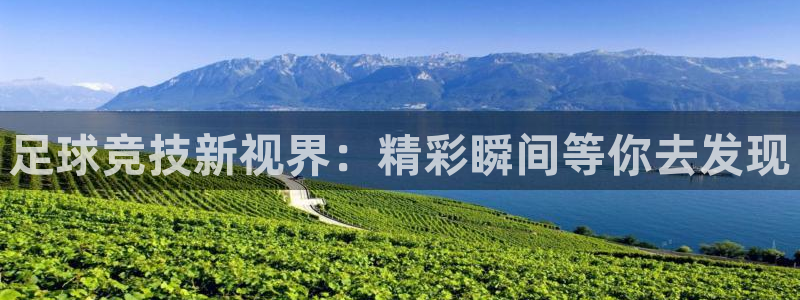 足球竞技新视界：精彩瞬间等你去发现