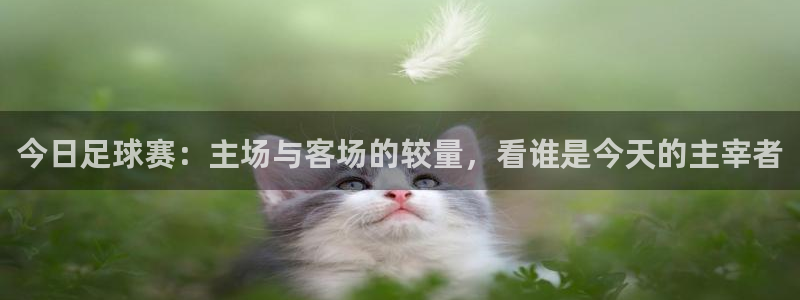 今日足球赛：主场与客场的较量，看谁是今天的主宰者