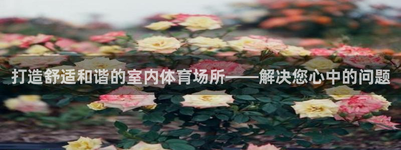 打造舒适和谐的室内体育场所——解决您心中的问题