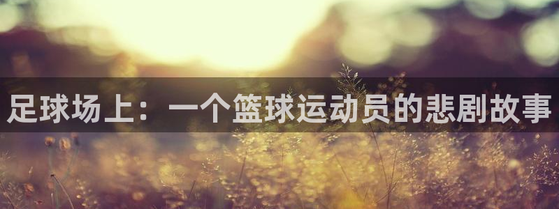 足球场上：一个篮球运动员的悲剧故事
