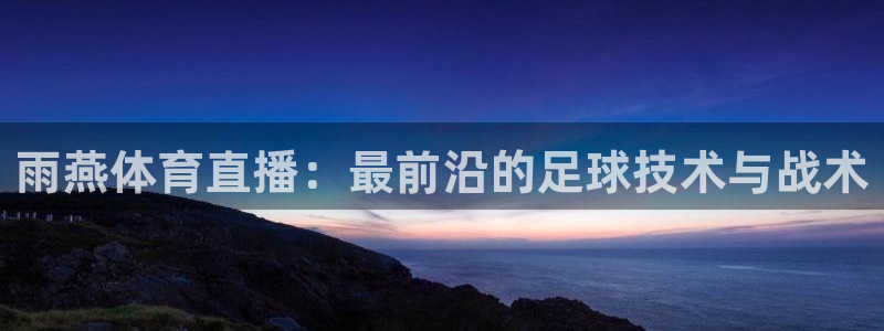 雨燕体育直播：最前沿的足球技术与战术